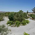 Palmeras *